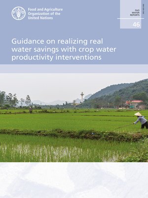 cover image of Guidance on Realizing Real Water Savings with Crop Water Productivity Interventions